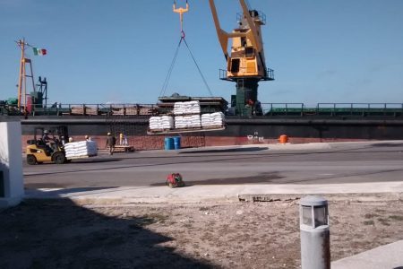 La demora de descarga en el Puerto de Altura causa costos mayores a empresas