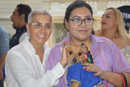 Hay que promover acciones que eleven la cultura del cuidado animal y adopción de mascotas: Federica Quijano Tapia