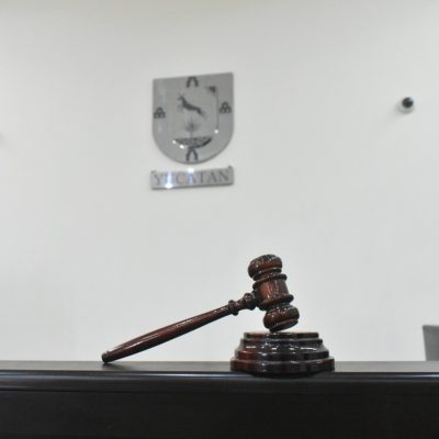“El CNPCyF y los juzgados de violencia familiar”