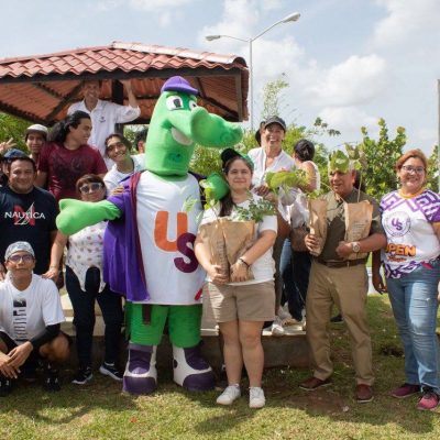 Con el programa “Arborizando Yucatán” se han distribuido y plantado más de 900 mil árboles en 97 municipios