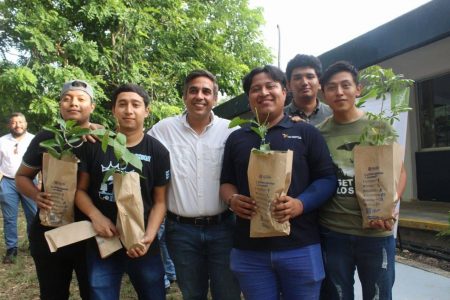 Jóvenes se suman a la arborización de Yucatán