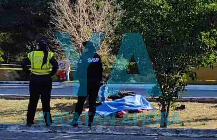 PIERDE LA VIDA EN ACCIDENTE DE CIUDAD CAUCEL - Yucatan Ahora