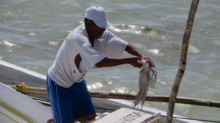 PEDIRÁN AMPLIACIÓN DE LA TEMPORADA DE CAPTURA DE PULPO - Yucatan Ahora